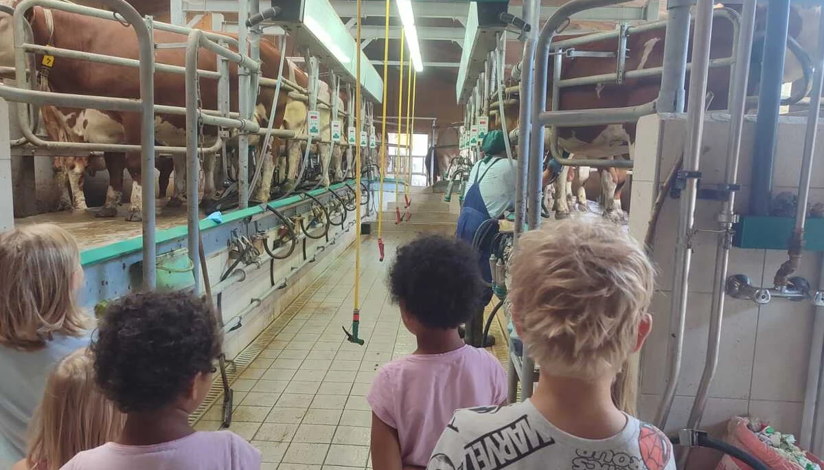 © Nathalie von Pressentin